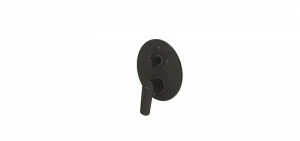 Встраиваемый смеситель (3-функц) Rhein PB8429564BW-3-ENG bravat
