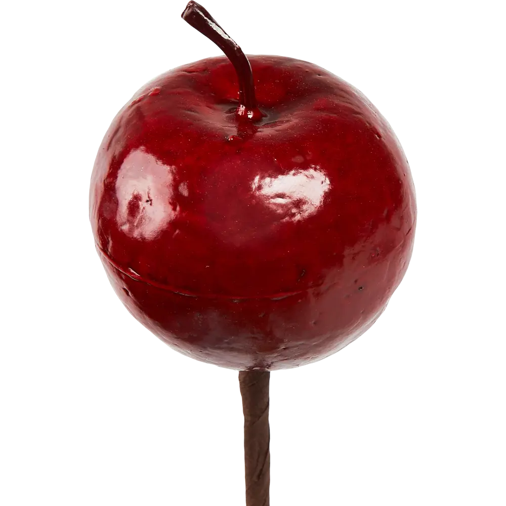 Штекер декоративный Яблоко пластик красный 10x60 см Santreyd STLM-2083671 - Вид №1
