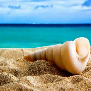 WP00967 Фотообои Verol Фотообои decoline 1х1 м