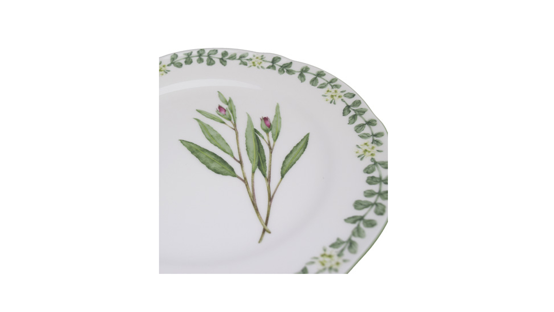 10613842 Noritake Тарелка обеденная Noritake "Английские травы" 27,5см Фарфор костяной  - Вид №2