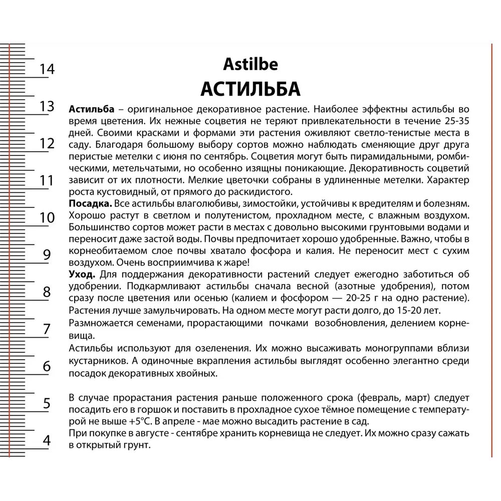 Астильба Арендса Глория 89433472 STLM-2080177 ПОИСК  - Вид №1