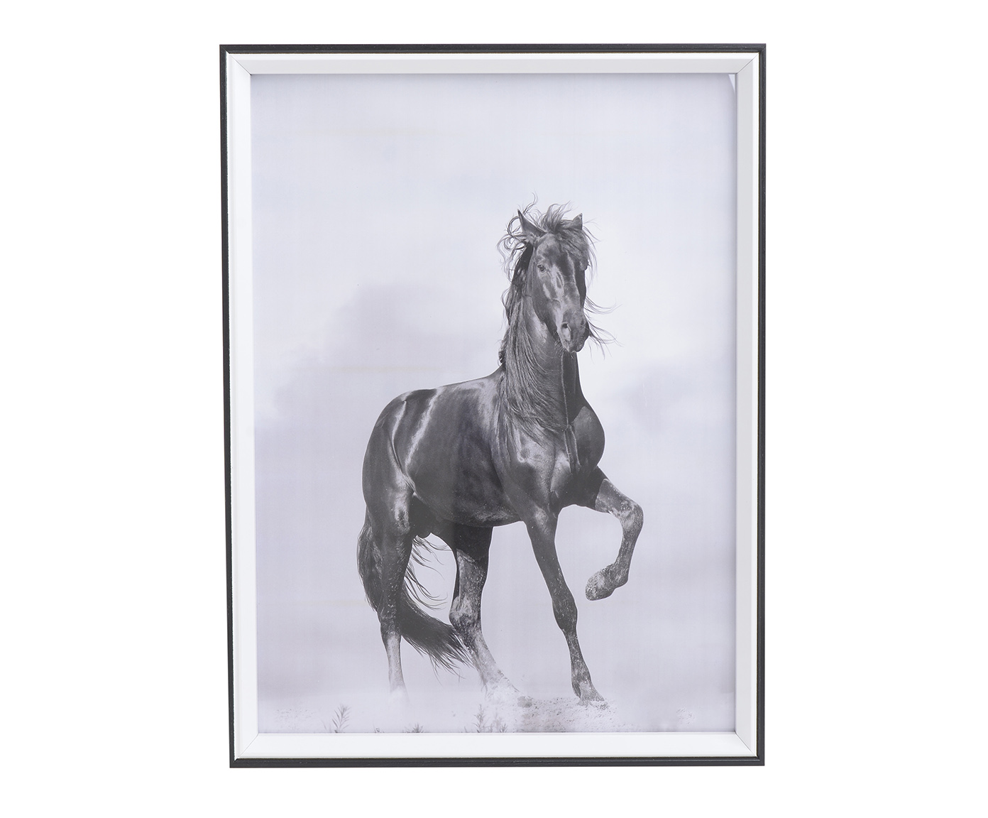 3890763.0030 Принт в раме TO4ROOMS  - Вид №1