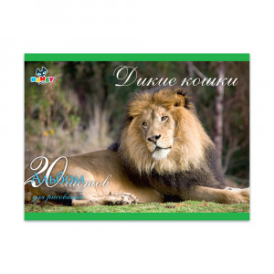 101031 Альбом для рисования "Дикие кошки" 100 г/м2 А4 21 х 29 см на скрепке 20 л. KNY 010103_1 KANZY