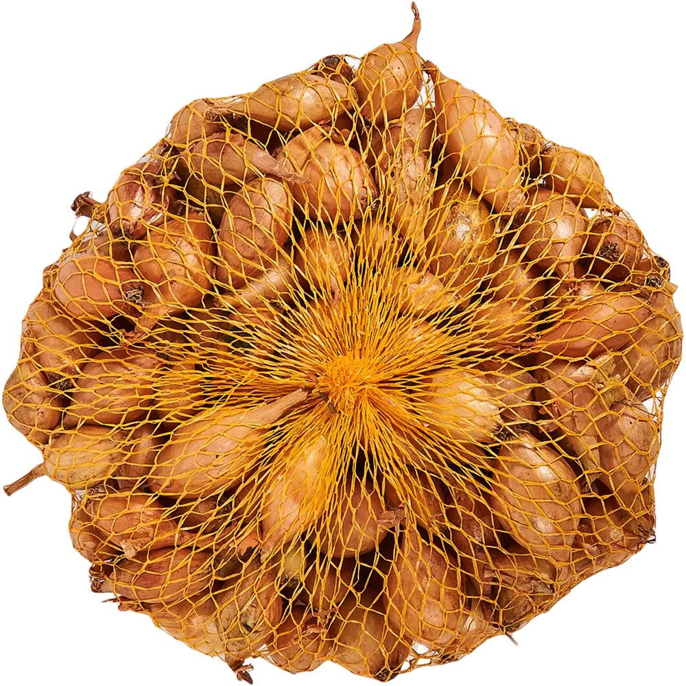 Лук-севок «Румба» 10/21, 0.35 кг Santreyd STLM-2021879 - Вид №1