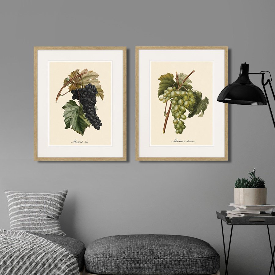 Картина Juicy fruit lithography №13, 1870 г., 42х52 см КАРТИНЫ В КВАРТИРУ  264431 Разноцветный  - Вид №7