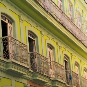 1316/C Картина 1316 Adriani e Rossi