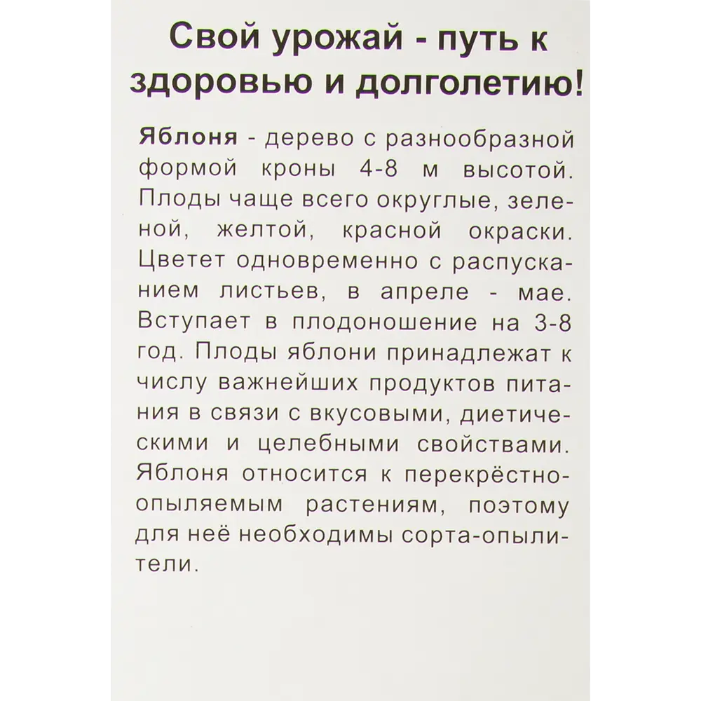 Яблоня карликовая Приземленное в тубе Поиск Инвест 82150832 STLM-2174067 Santreyd  - Вид №1