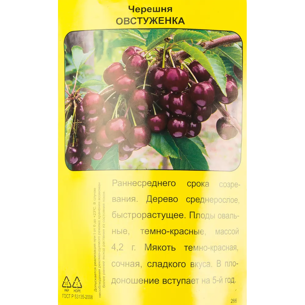 Черешня Овстуженка h90 см 83787996 STLM-2064953 Santreyd 