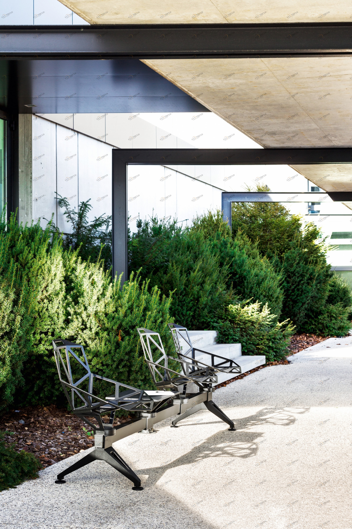 Chair_One Общественные места Sy Magis sun-id-1328926