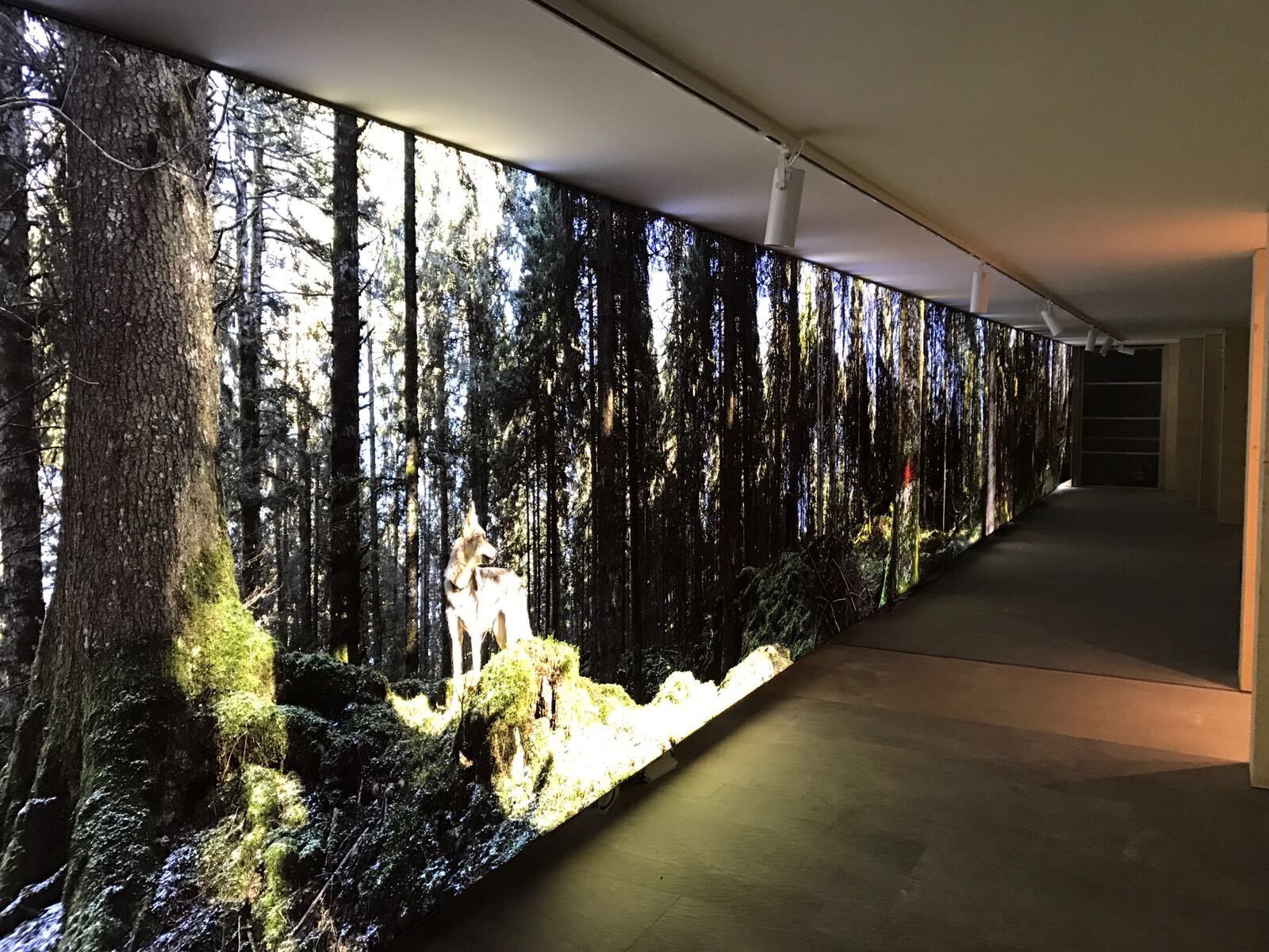 Стена с подсветкой ABS Group PARETI LUMINOSE ARCH-00061679 - Вид №4