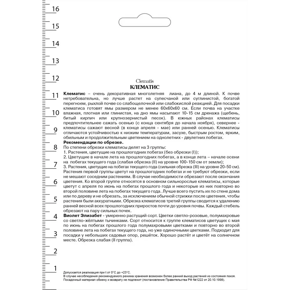 Клематис крупноцветковый Виолет Элизабет в капере 82527523 STLM-2171043 Santreyd  - Вид №1