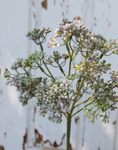 1924 802 a3 Стебель калины искусственный, 37 см, зелено-фиолетовый H-andreas