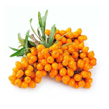 Облепиха ~700 г Santreyd 22780