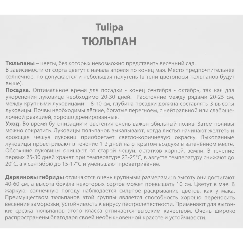 Тюльпан Дарвинов гибрид Ад Рем, 10 шт 85205578 STLM-2032564 ПОИСК  - Вид №2