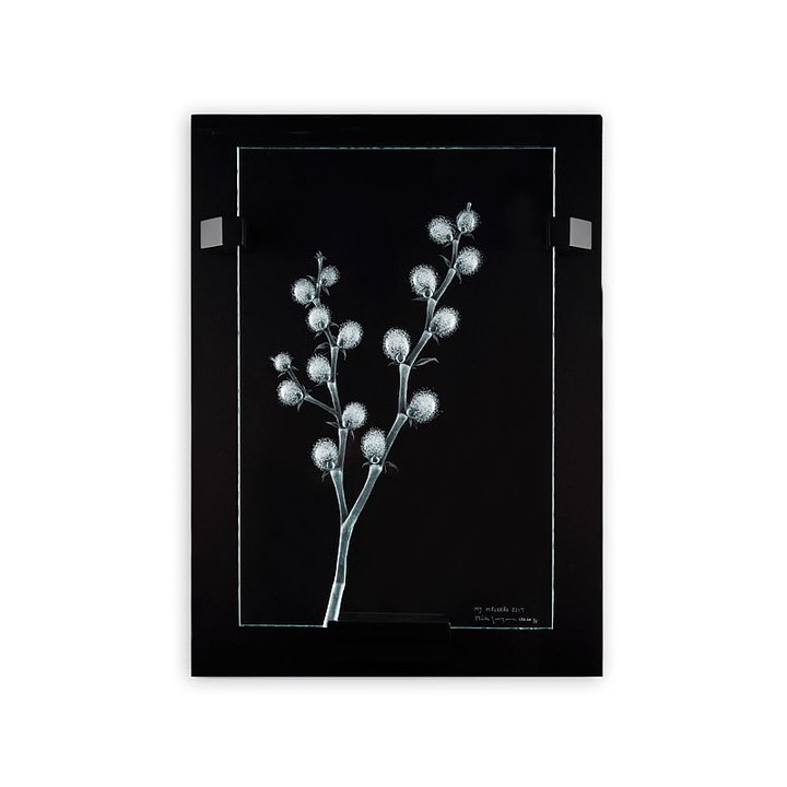 63079 Панно "Ива", чёрно-белое, 450/620 мм Maleras 