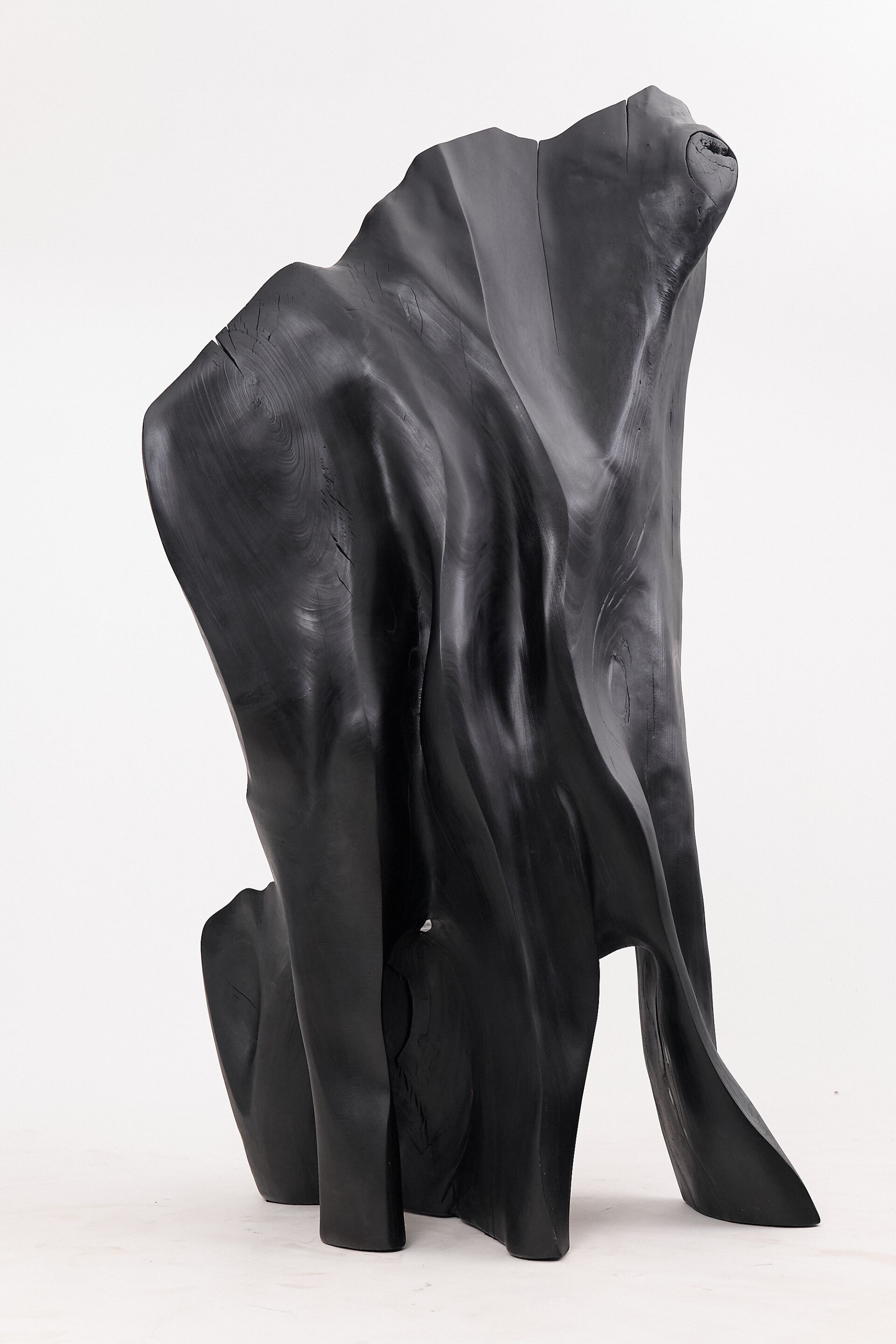 Дубовый стул Logniture XXL THRONE CHAIR ARCH-00015935 - Вид №5