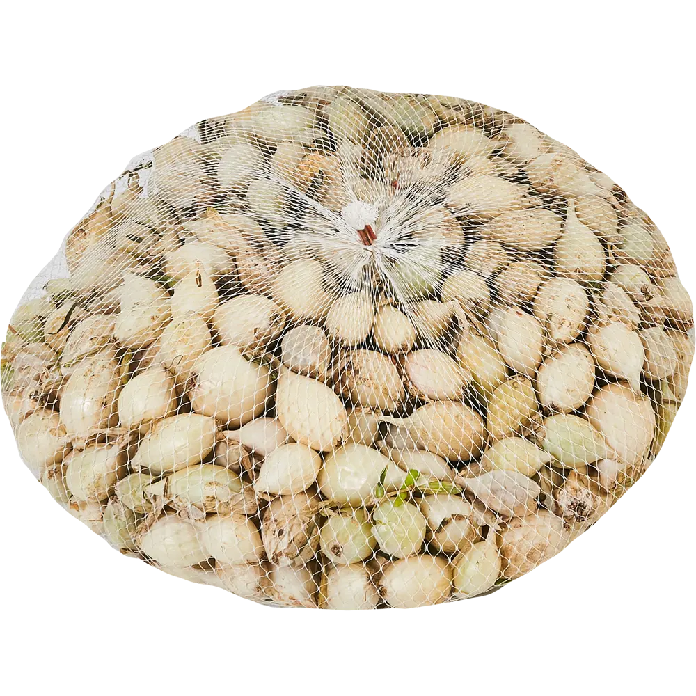 Лук-севок Стардаст 21/24 1 кг Santreyd STLM-2026932