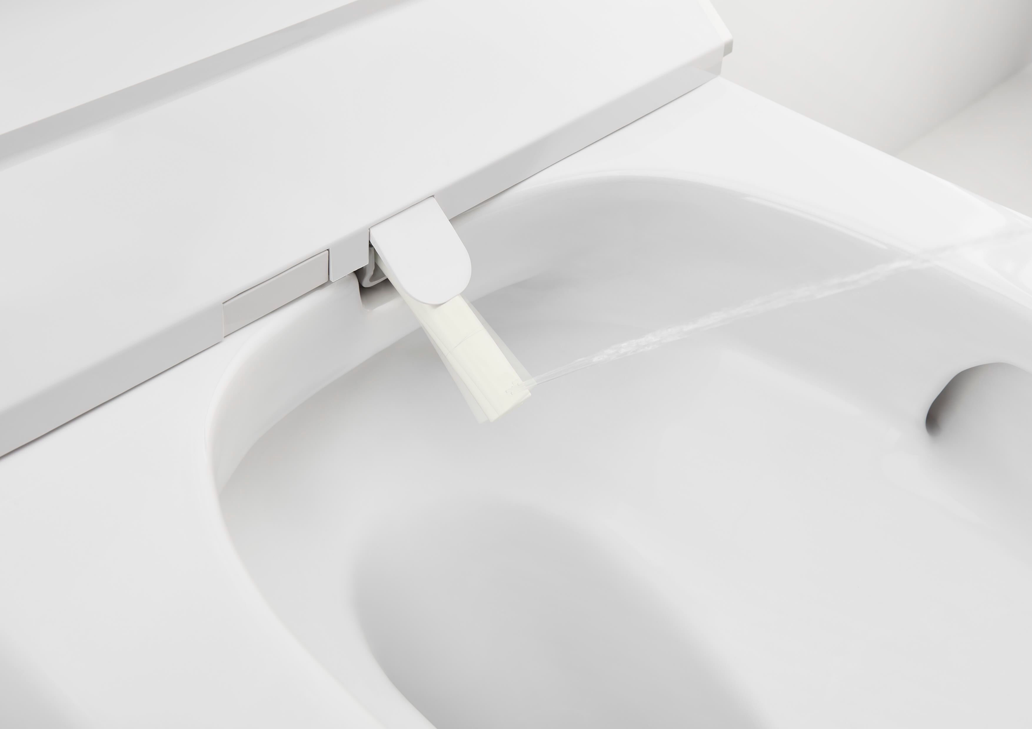 Керамический подвесной туалет для биде без бриды Roca Inspira ARCH-00027983 - Вид №9