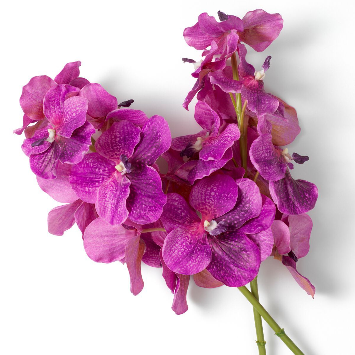 Искусственное растение Eichholtz BOUQUET OF VANDA ORCHIDS ARCH-00078335 - Вид №1