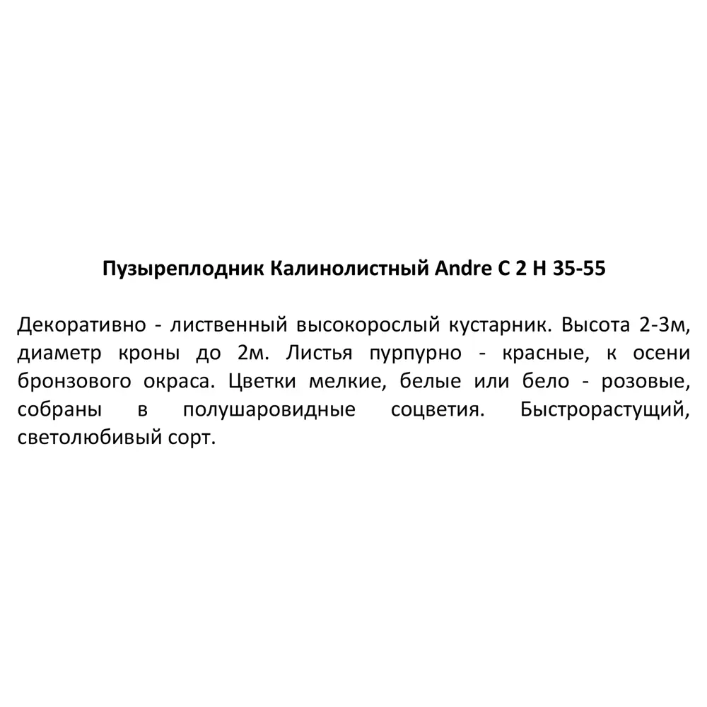 Пузыреплодник калинолистный Andre h35-55 см 85292571 STLM-2036556 Santreyd  - Вид №3