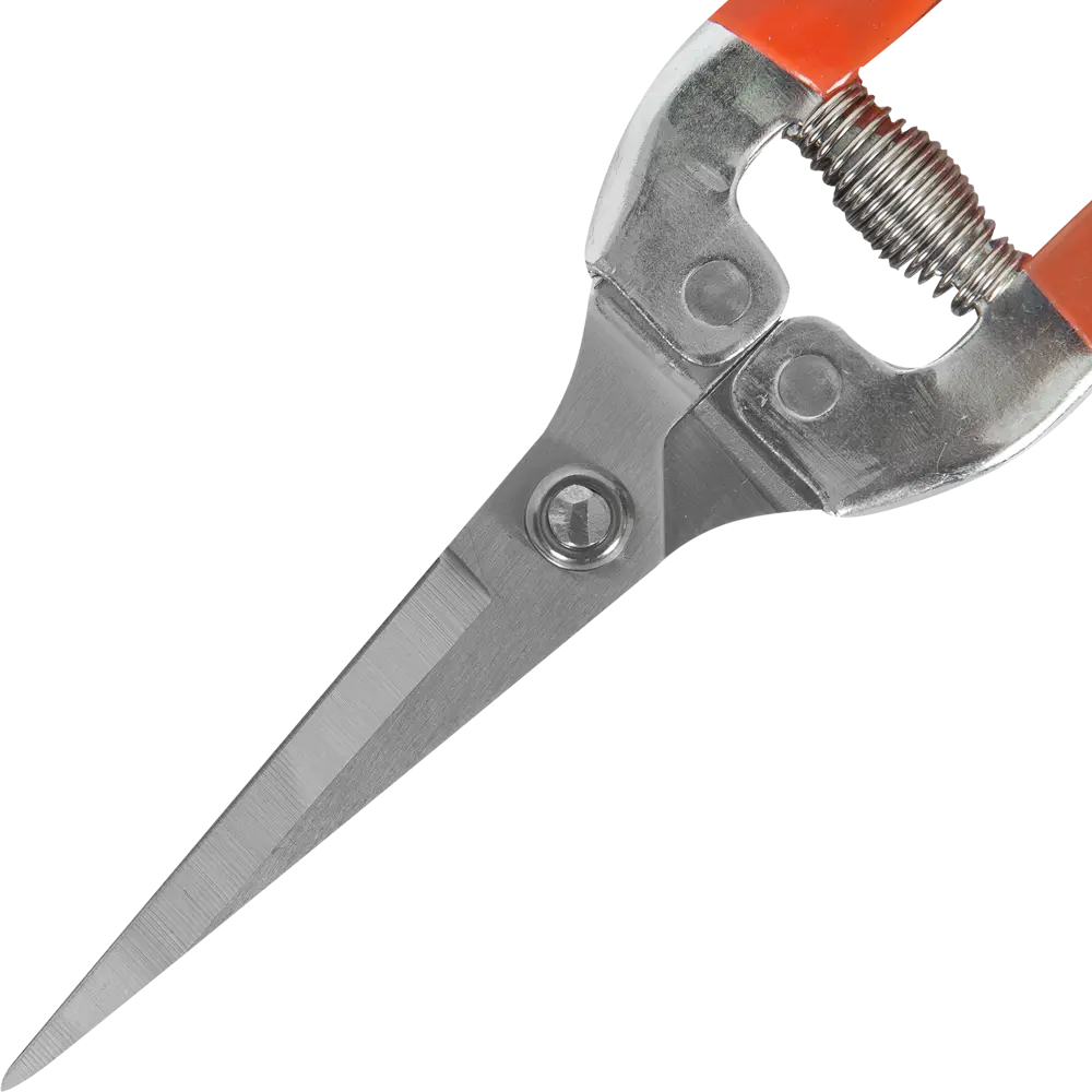 Новасад Прямые ножницы для комнатных растений 82145047 STLM-0955374 - Вид №1