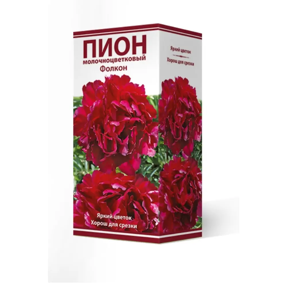Пион травянистый Фолкон луковица 2-3 83600337 STLM-2093395 Santreyd 