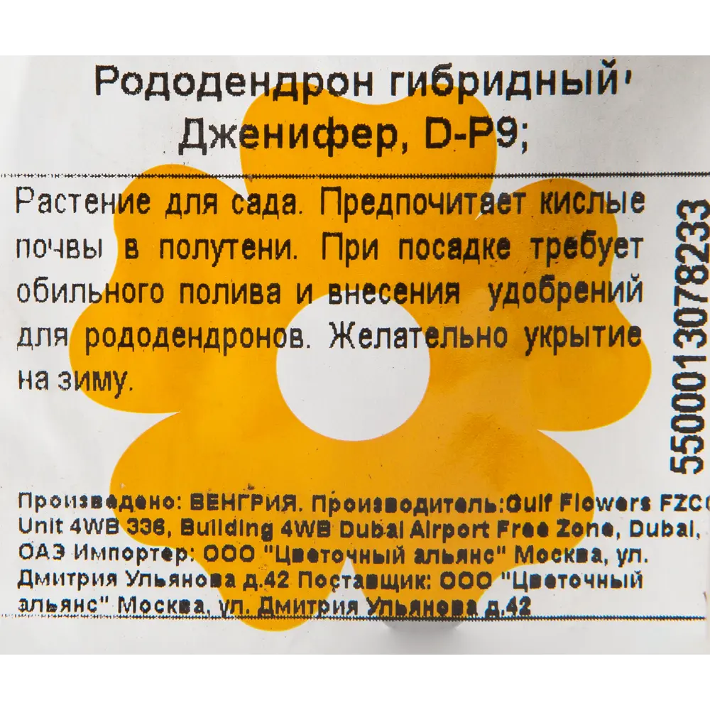 Рододендрон гибридный «Дженифер» 9x20 см 82601828 STLM-2122971 Santreyd  - Вид №1