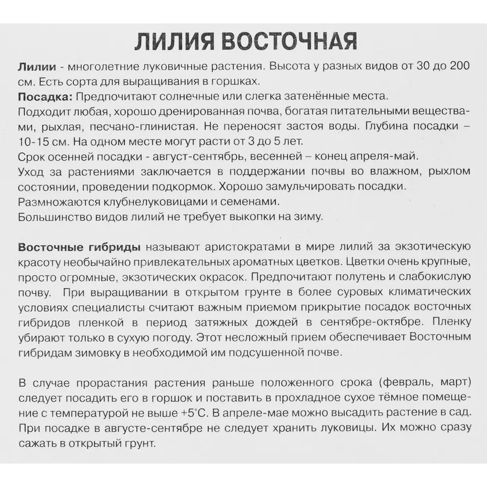 Лилия восточная Мах Экзотик Сан 85205753 STLM-2186378 ПОИСК  - Вид №2