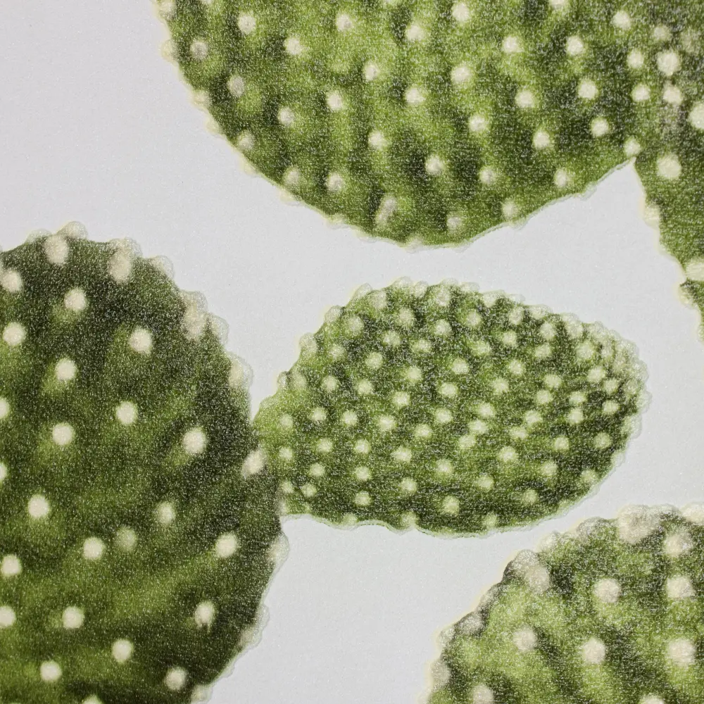 Обои флизелиновые Rasch Freundin зелёные 0.53 м 441000 STLM-2186048 - Вид №1