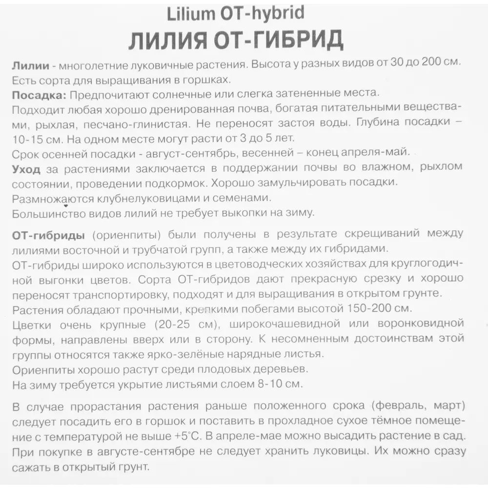 Лилия ОТ-гибрид Корсини 1 шт. 83588551 STLM-2043467 Santreyd  - Вид №2