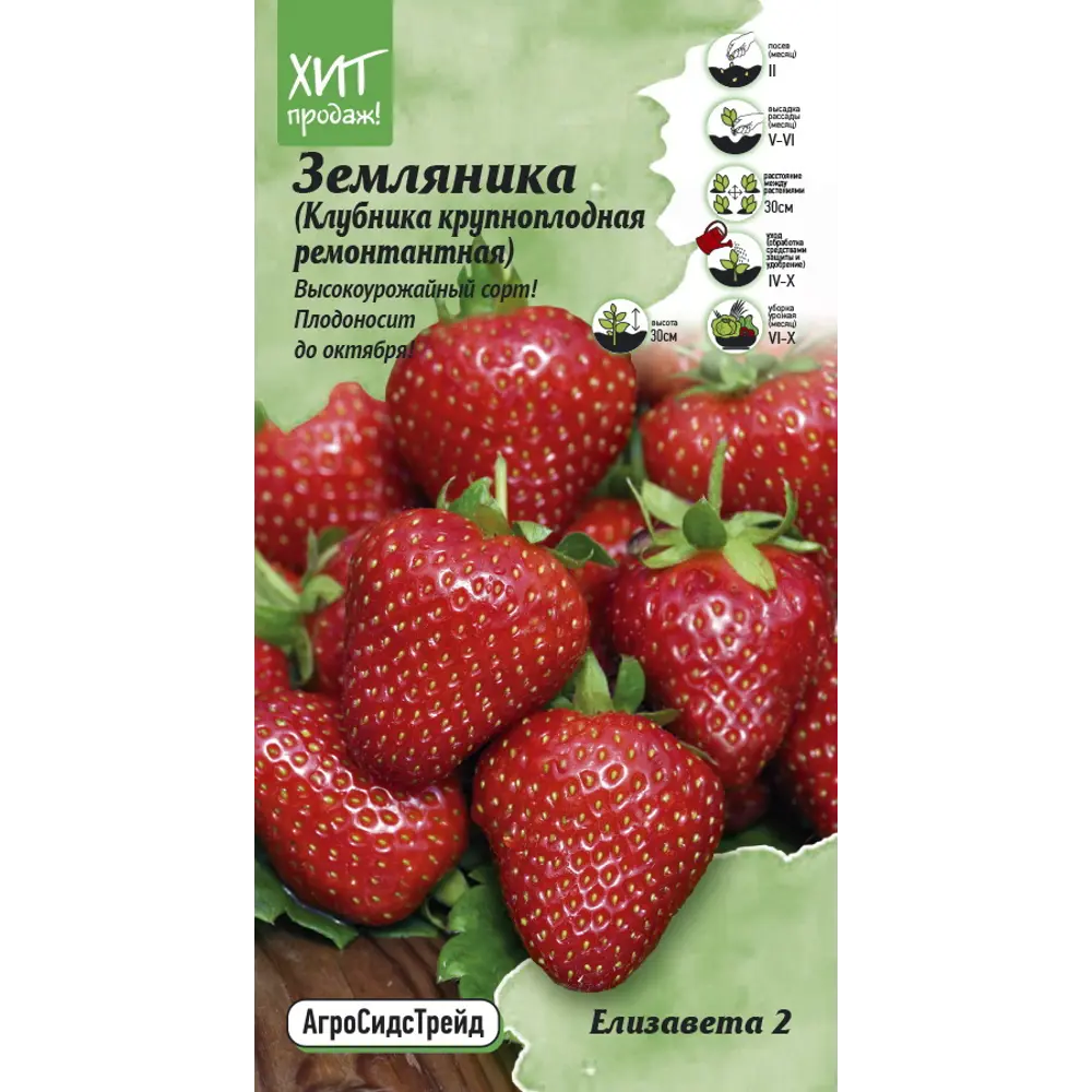 Семена ягод Агросидстрейд клубника ремонтантная Елизавета 2 Santreyd STLM-2158256