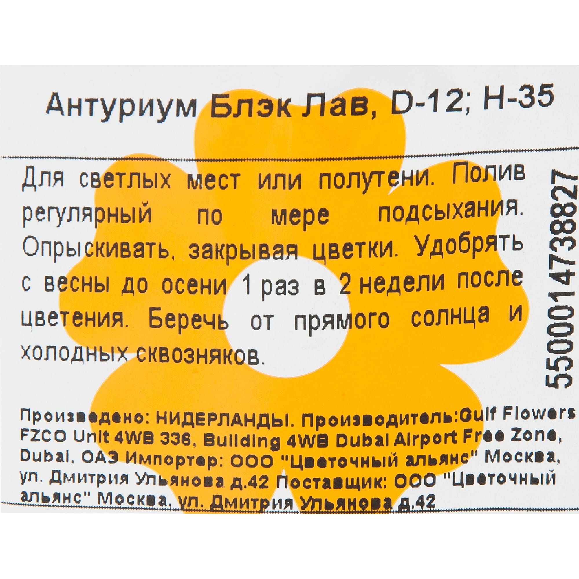 84450765 Антуриум Блэк лав ø12 h35 см Santreyd  - Вид №2