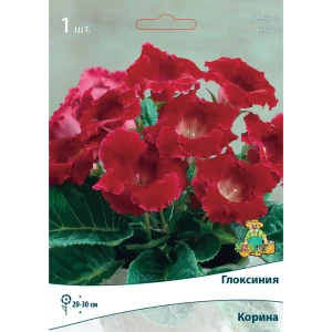Глоксиния Корина луковица 5/6 83598071 STLM-2026001
