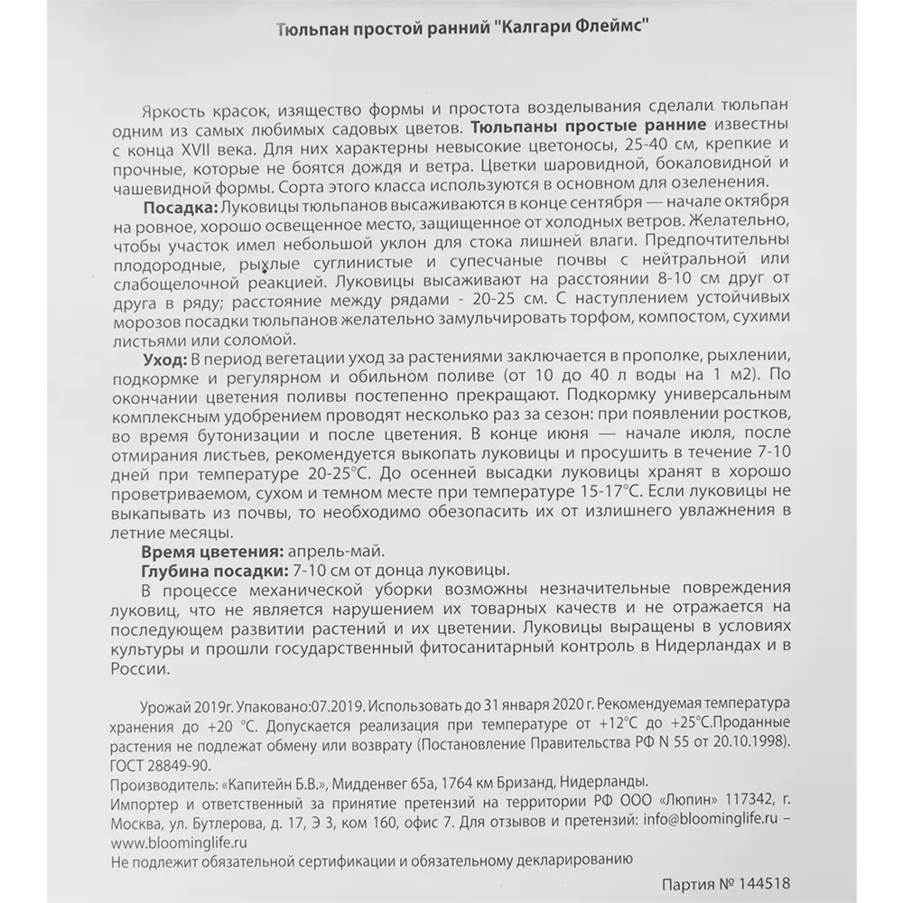 Тюльпан Калгари Флеймс 12/+, 5 шт 17977352 STLM-2133204 Santreyd  - Вид №2