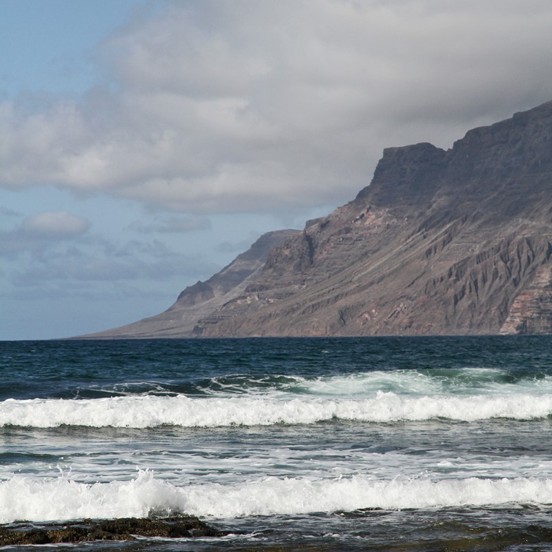 1281/CX38 Картина 1298 Adriani e Rossi 