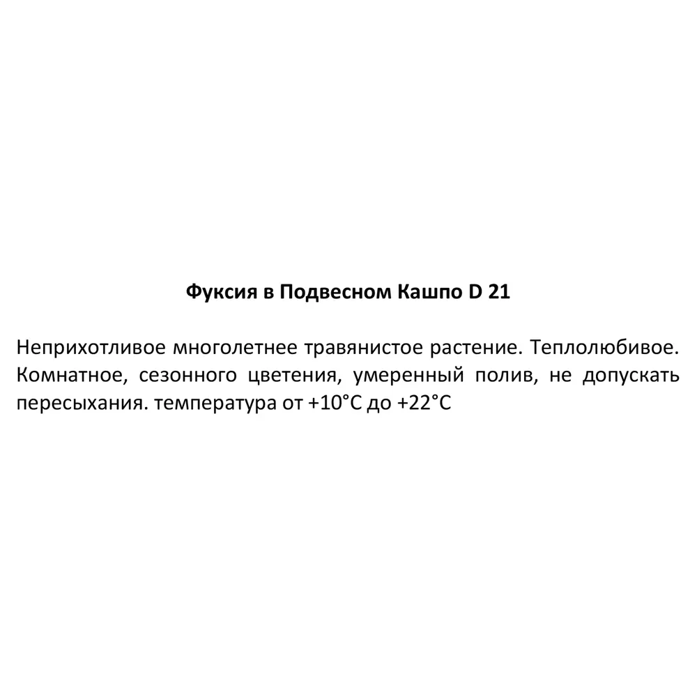 Фуксия в кашпо ø21 h35 см 83248505 STLM-2055583 Santreyd  - Вид №2