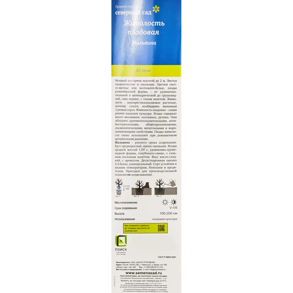 Жимолость съедобная Мальвина h35 см 89353455 STLM-2038907 Santreyd  - Вид №2