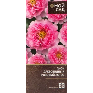 Пион древовидный привитый «Розовый Лотос» в тубе 82142821 STLM-2016357