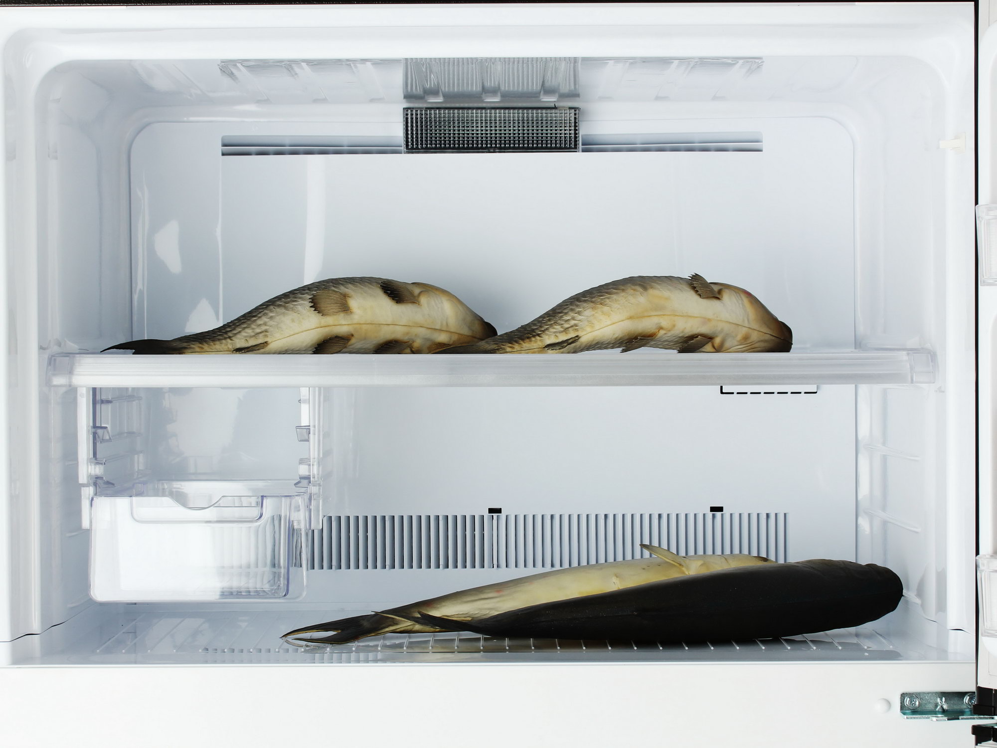 7919034 Холодильник с морозильником   Sharp SJXE55PMBK черный STDN-0084373 - Вид №11