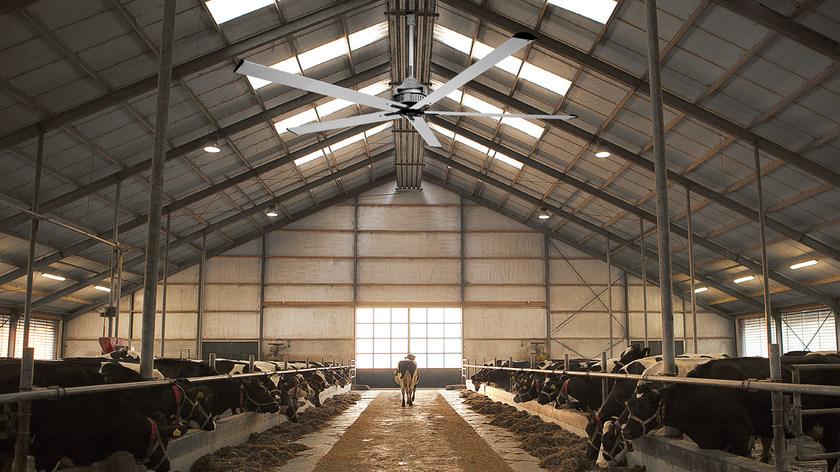 Vortice Nordik hvls super blade  61082  - Вид №3