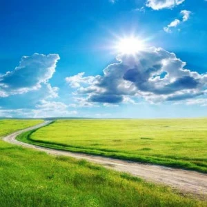 WP02525 Фотообои Verol Фотообои decoline 1х1 м