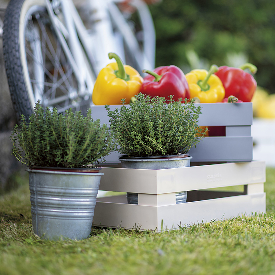 170200190 Ящик для хранения tidy&store 45х31х15 см, бежевый Guzzini  - Вид №1