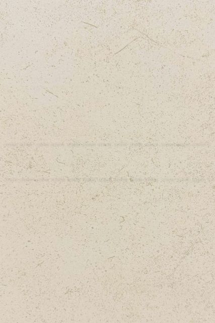 Столешницы для кухни - Бардолино бежио LIGRON LIST317 2294