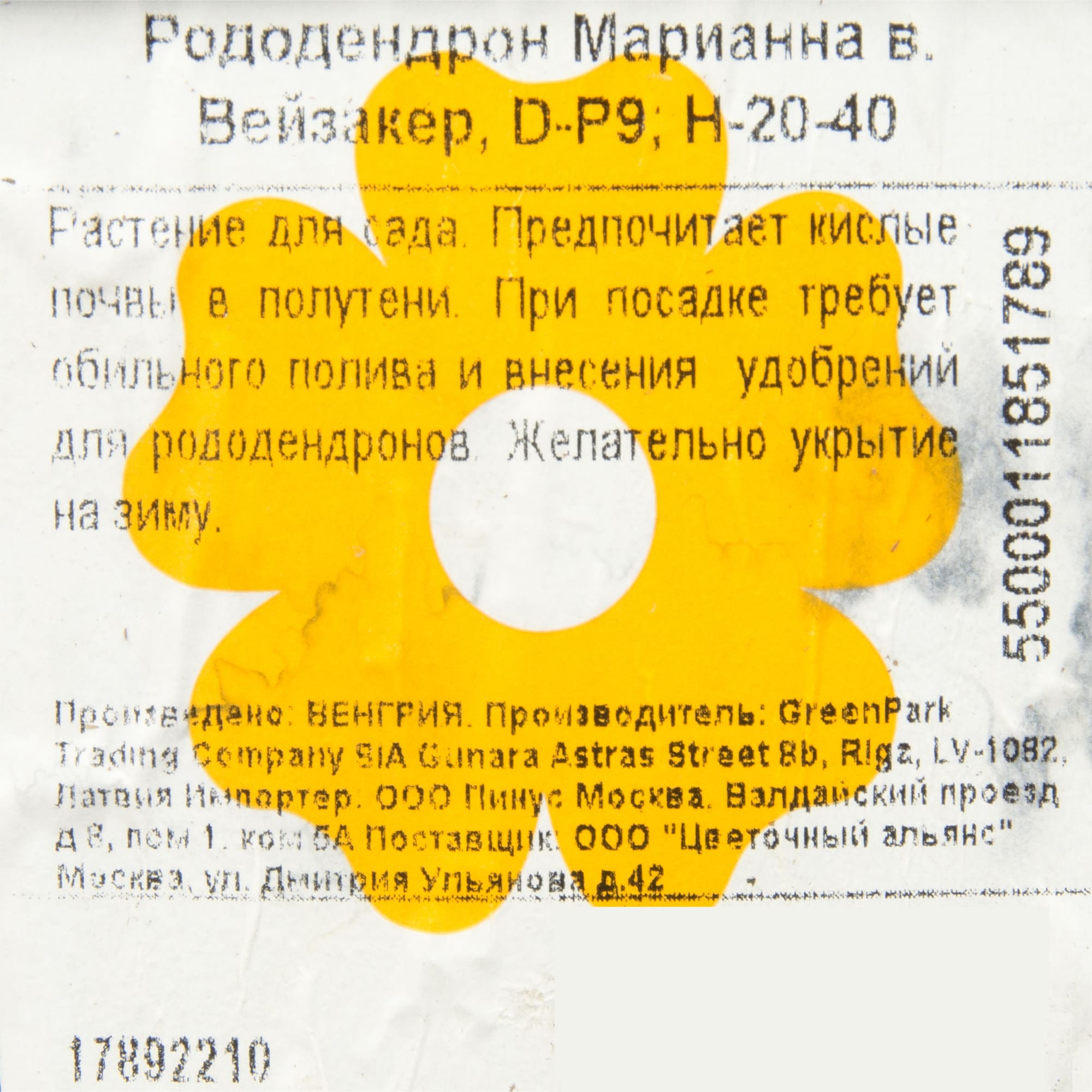 17892210 Рододендрон Марианна Вейзакер, Р9 Santreyd  - Вид №1