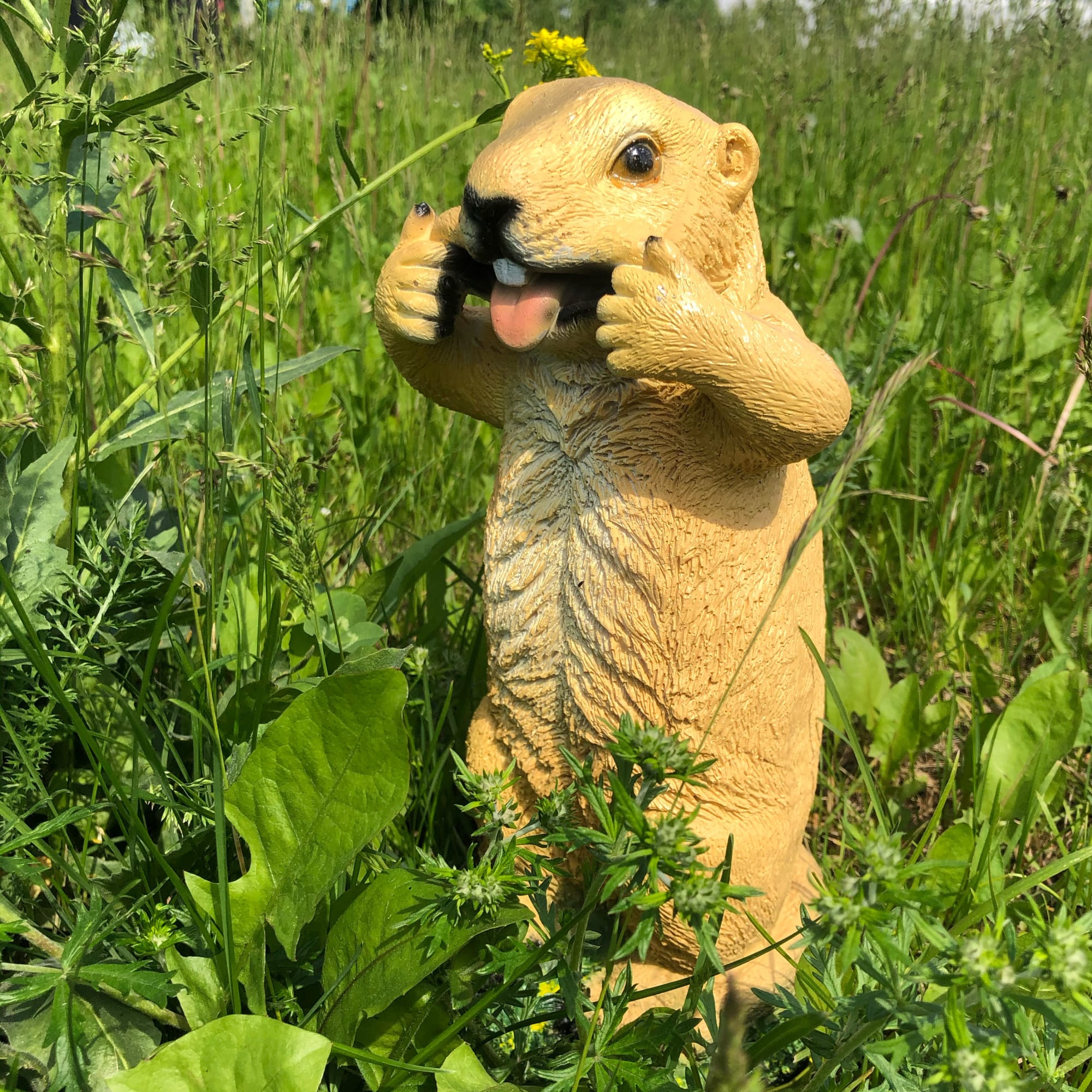 82279087 Фигура садовая «Бурундук показывает язык» 27 см Santreyd  - Вид №4