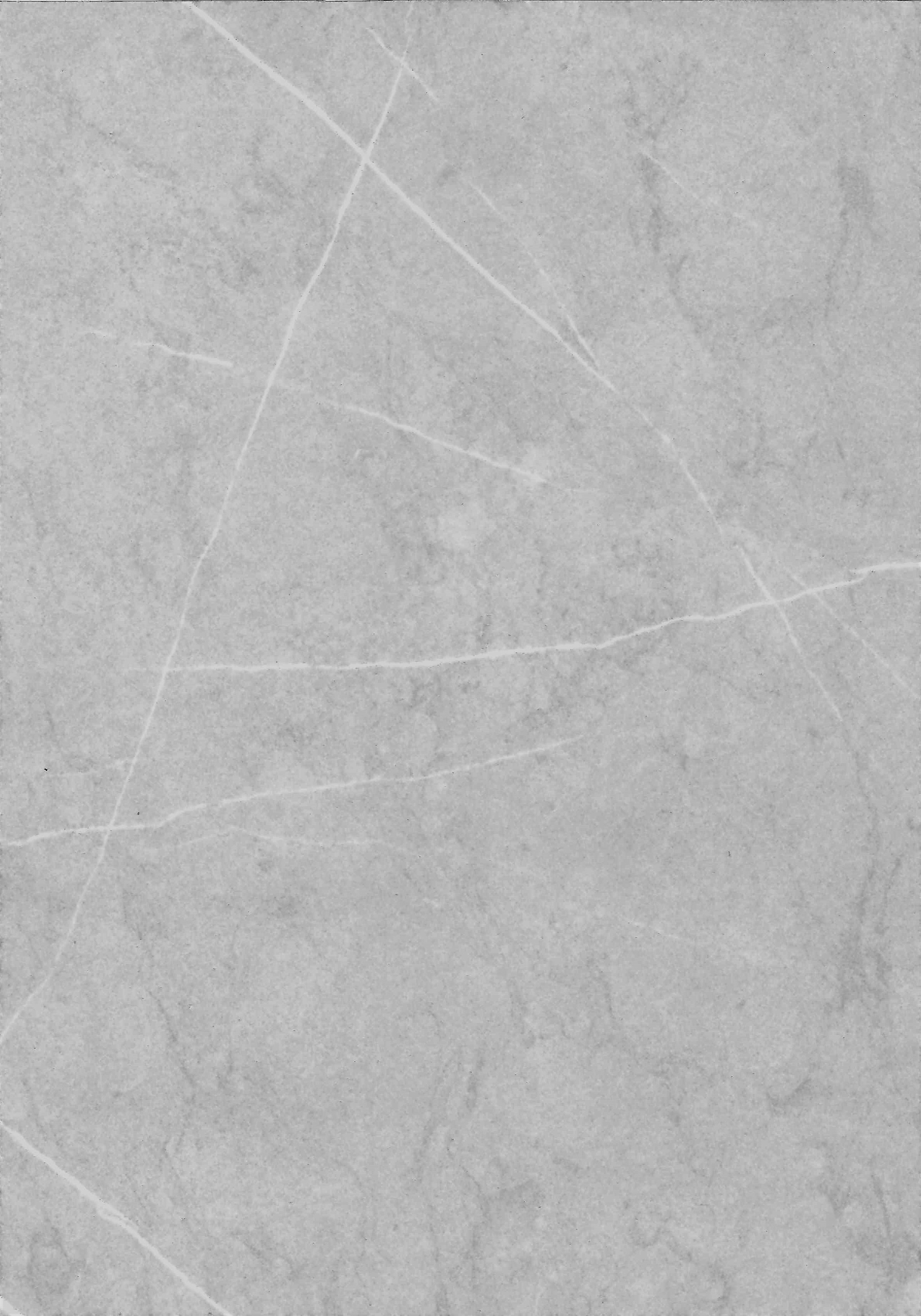 Панель ПВХ Кварцит светлый Ламинированная панель  250мм DEKOR PANEL DP194