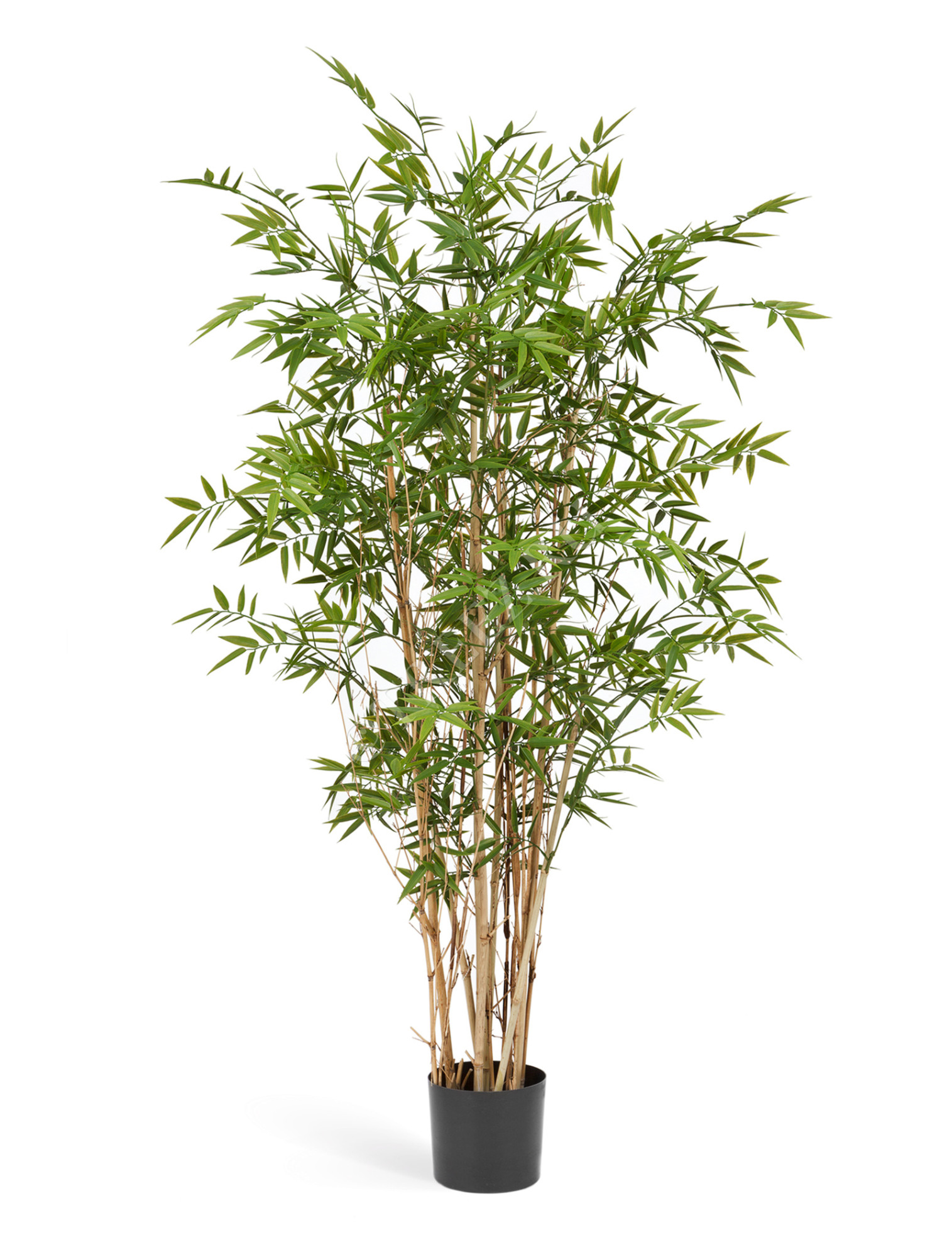 10.33905N Бамбук Новый Японский Элегант Цветочная коллекция 