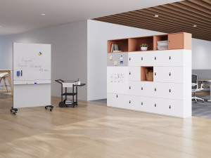 Модульный офисный шкаф из стали и дерева с распашными дверями