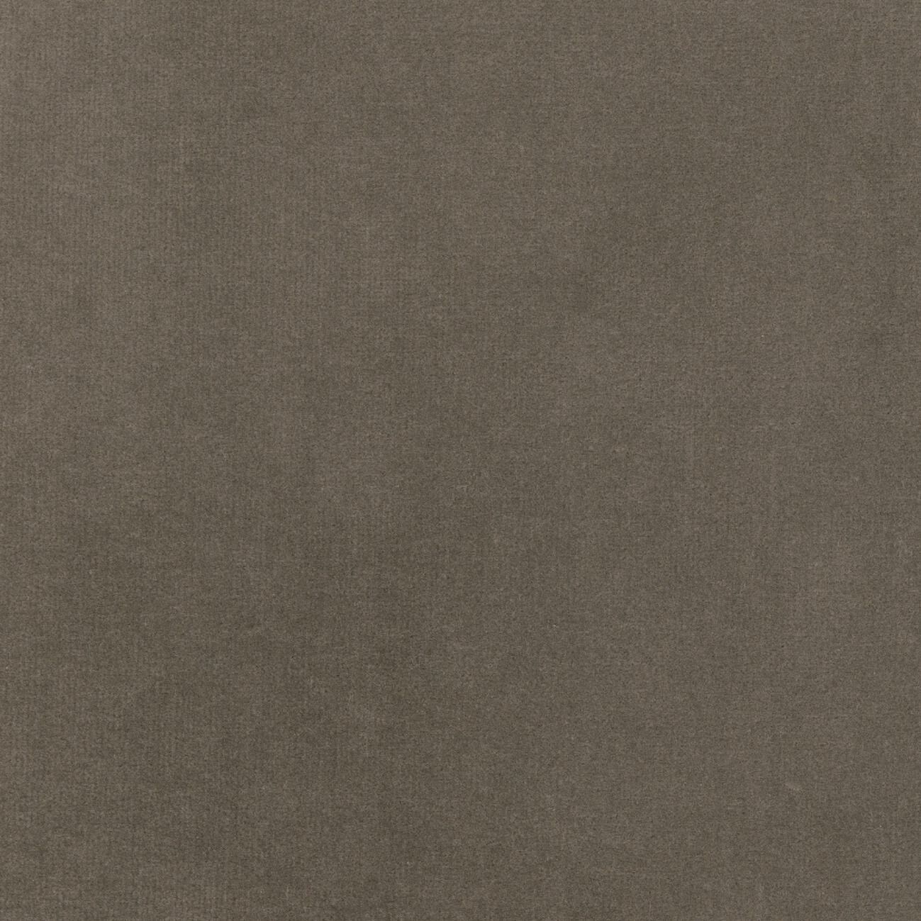 Бархатная однотонная ткань Élitis Palatine ARCH-00143253 - Вид №69