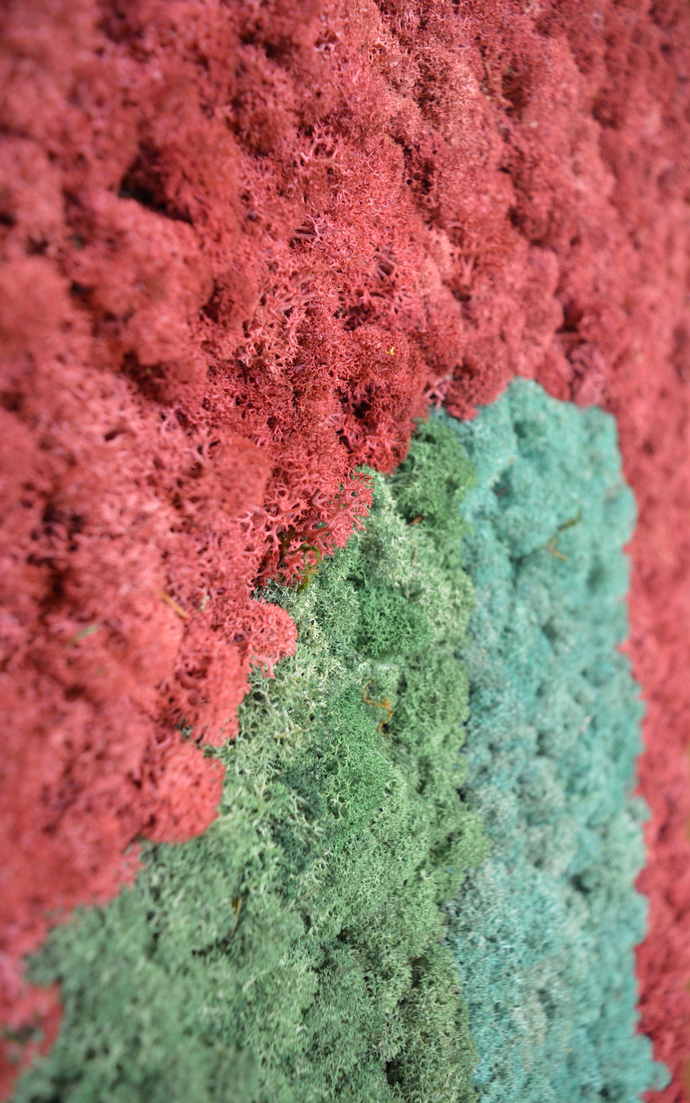 Акустическая панель из мха GREENMOOD FRAMED LANDSCAPE ARCH-00143245 - Вид №21